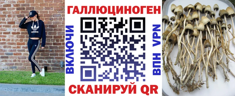Галлюциногенные грибы GOLDEN TEACHER  купить наркоту  нарко площадка клад  Сатка  OMG маркетплейс 